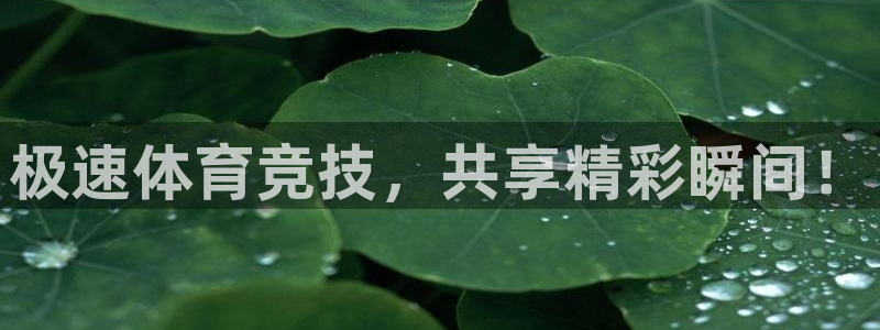 919看球直播nba：极速体育竞技，共享精彩瞬间！