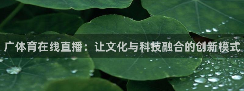 919看球软件：广体育在线直播：让文化与科技融合的创新模式