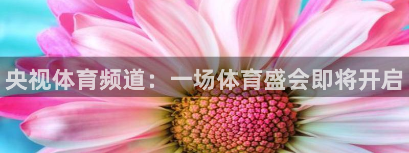 919体育直播在线观看：央视体育频道：一场体育盛会即将开启