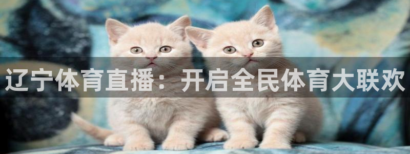 919体育：辽宁体育直播：开启全民体育大联欢