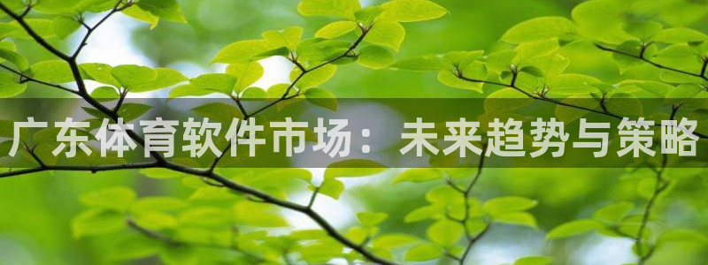 919体育直播安卓版：广东体育软件市场：未来趋势与策略