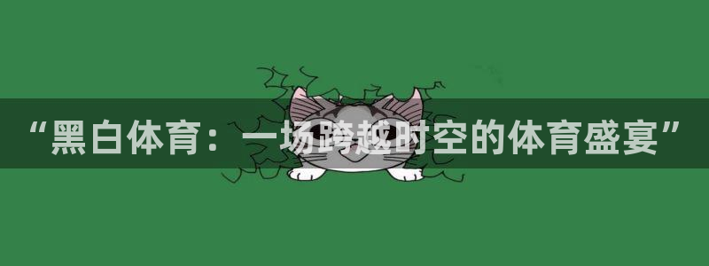 919体育nba直播安卓版：“黑白体育：一场跨越时空的体育盛宴”