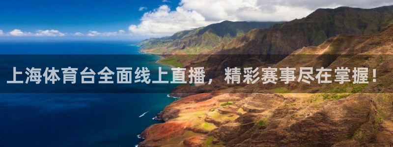919直播看球下载：上海体育台全面线上直播，精彩赛事尽在掌握！