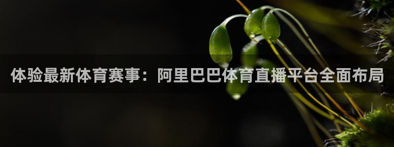 919直播看球下载：体验最新体育赛事：阿里巴巴体育直播平台全面布局