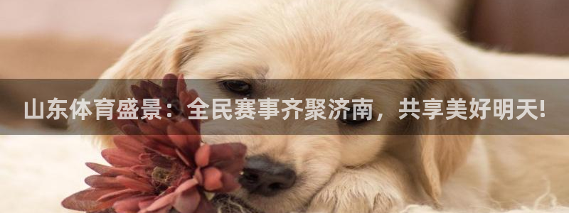 919体育直播下载：山东体育盛景：全民赛事齐聚济南，共享美好明天!