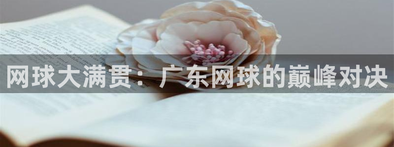 919直播间：网球大满贯：广东网球的巅峰对决