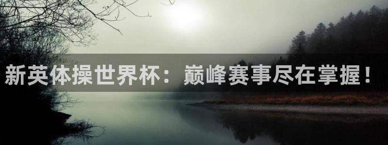 919直播间：新英体操世界杯：巅峰赛事尽在掌握！