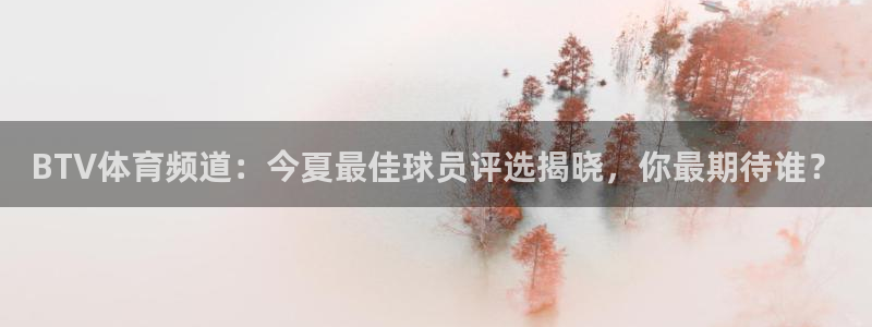 919直播看球app：BTV体育频道：今夏最佳球员评选揭晓，你最期待谁？