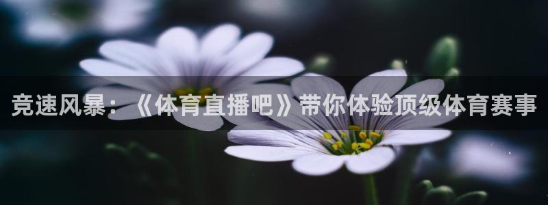 919体育专业直播平台：竞速风暴：《体育直播吧》带你体验顶级体育赛事