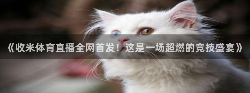 919看足球直播：《收米体育直播全网首发！这是一场超燃的竞技盛宴》