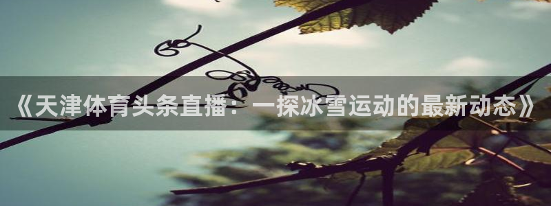 919看球直播：《天津体育头条直播：一探冰雪运动的最新动态》