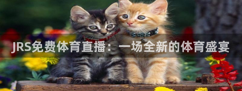 919足球直播 01篮球直播：JRS免费体育直播：一场全新的体育盛宴