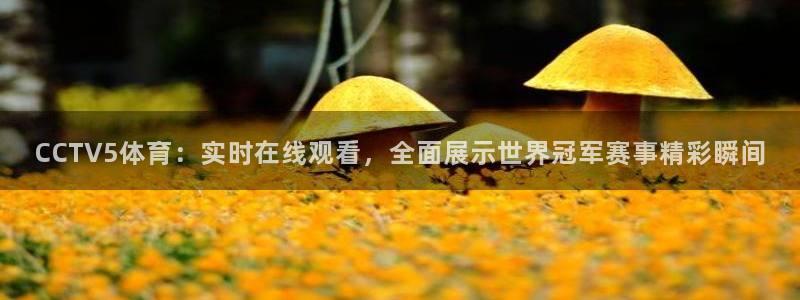 919nba直播：CCTV5体育：实时在线观看，全面展示世界冠军赛事精彩瞬间