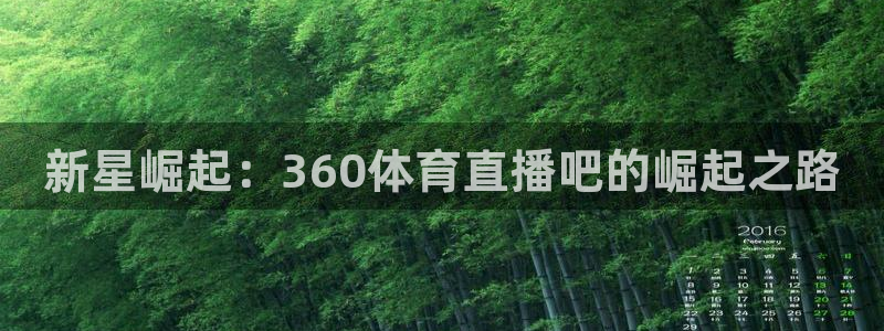 919足球直播：新星崛起：360体育直播吧的崛起之路